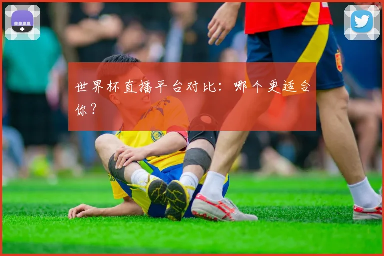 世界杯直播平台对比：哪个更适合你？