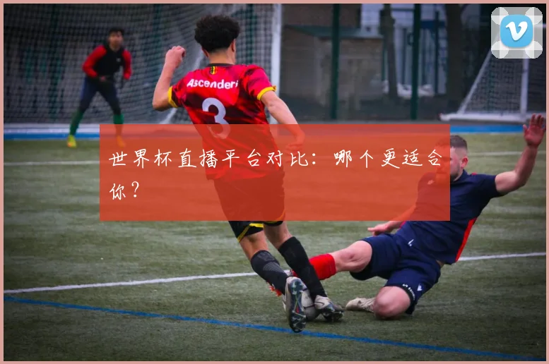 世界杯直播平台对比:哪个更适合你?