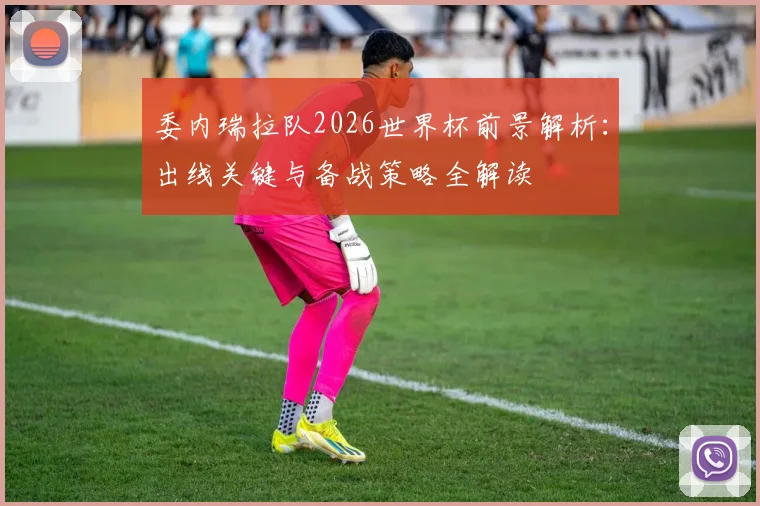 委内瑞拉队2026世界杯前景解析：出线关键与备战策略全解读