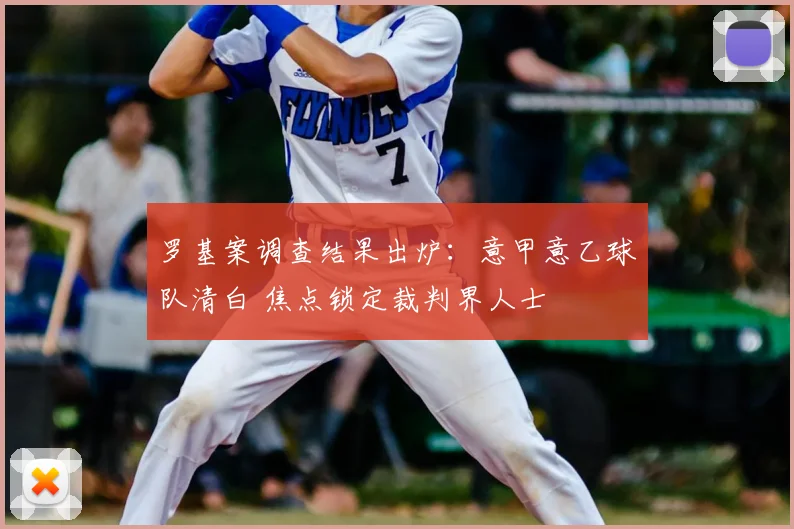 罗基案调查结果出炉：意甲意乙球队清白 焦点锁定裁判界人士
